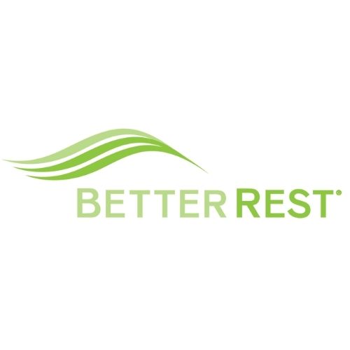 BetterRest Backrest Pillows