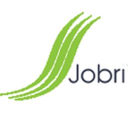 Jobri Explore Our Range of Ergonomic Seat Cushions for Cars and Chairs