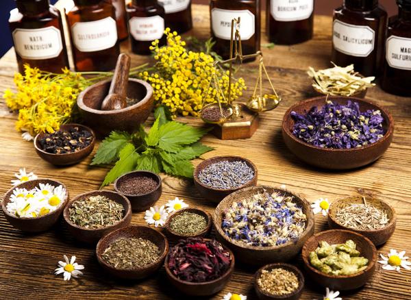 Herbal/Botanical Medicine