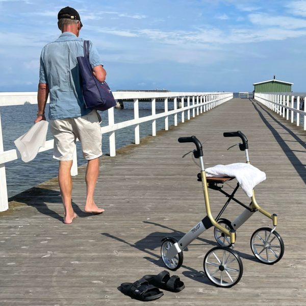 Let's Go Out Rollator by Trust Care