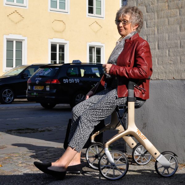 Let's Fly Rollator by Trust Care
