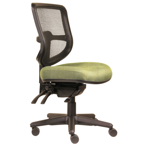 ErgoSelect Swift Mesh Medium Back Office Chair