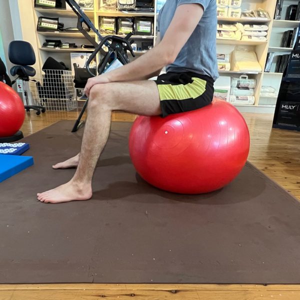 Bad Backs Anti Burst Exercise Balls