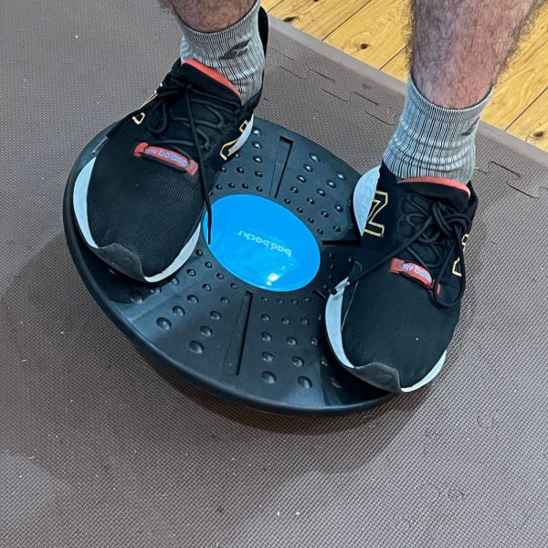 Bad Backs Wobble Balance Board