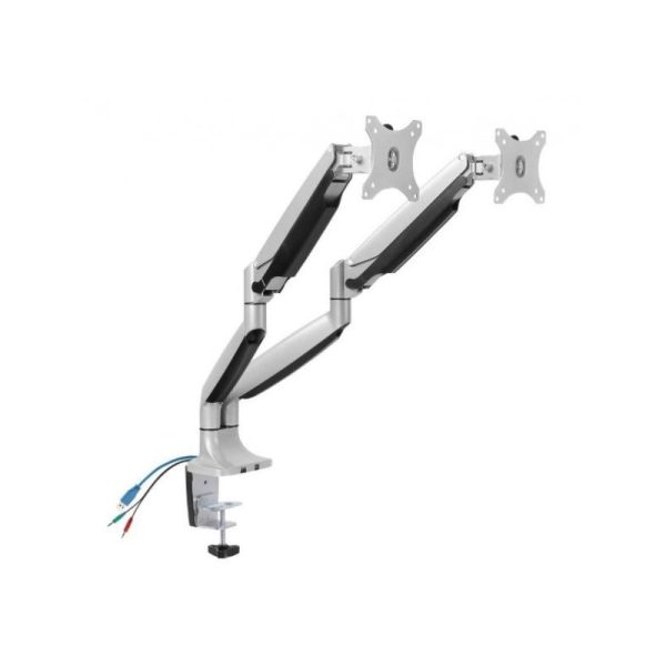Ergo-V DUAL - Flex Monitor Arm with USB