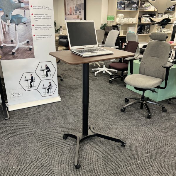 Rise Home Sit Stand Workstation