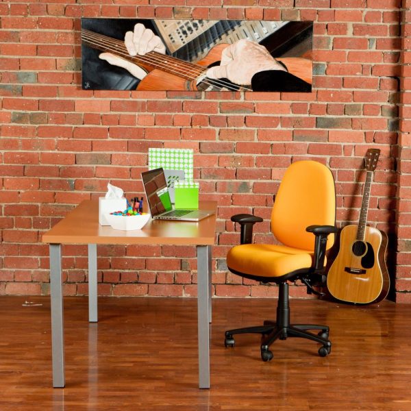 Delta 3 Lever Ergonomic Office Chair, 120kg