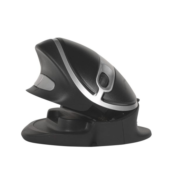 Oyster Mouse