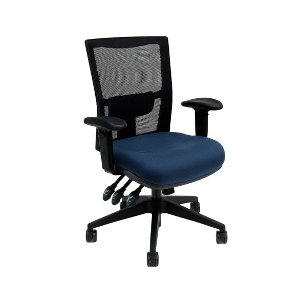 Taquile Dual Density Mesh Back Office Chair