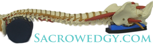 sacrowedgy